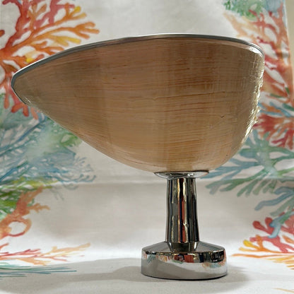 Melon Shell on Metal Stand