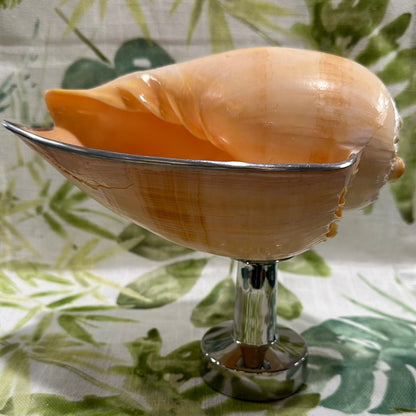 Melon Shell on Metal Stand