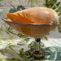Melon Shell on Metal Stand
