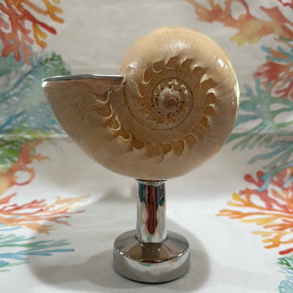 Melon Shell on Metal Stand