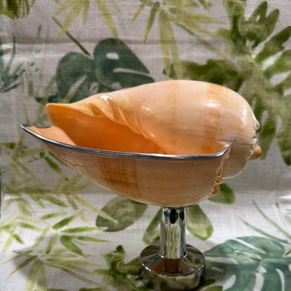 Melon Shell on Metal Stand