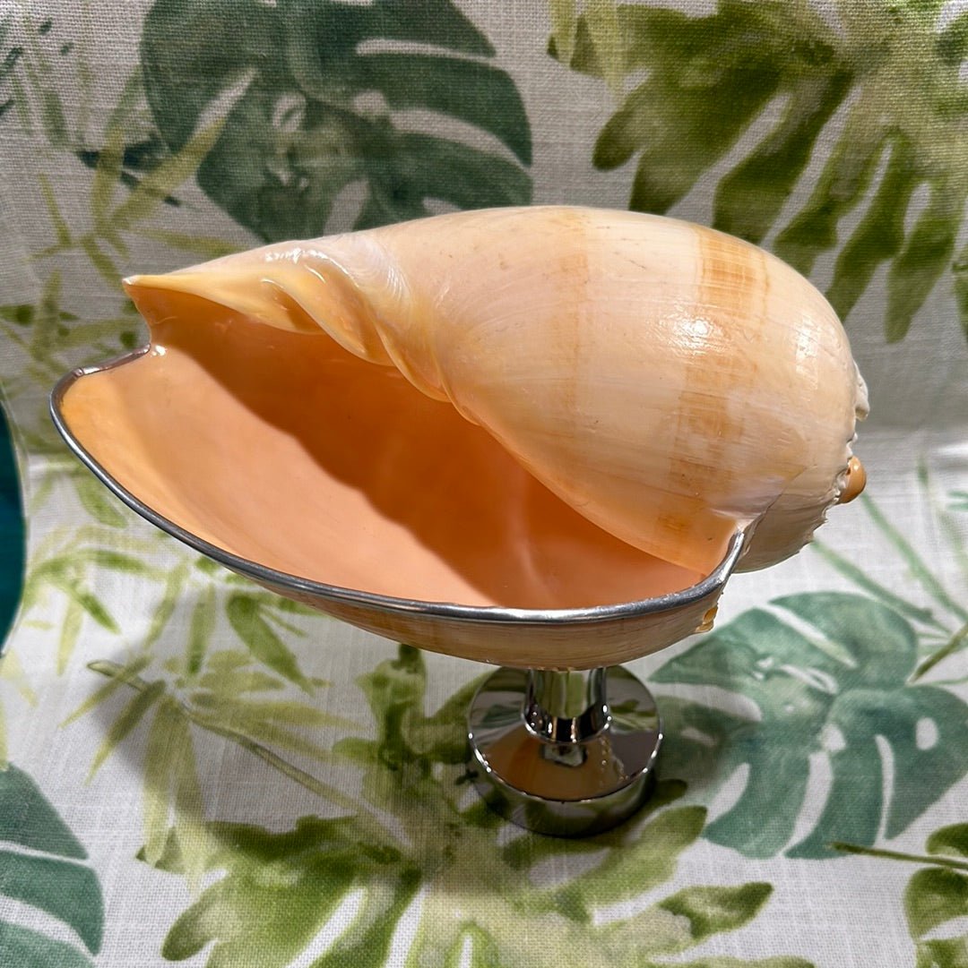 Melon Shell on Metal Stand