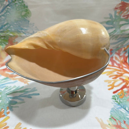 Melon Shell on Metal Stand