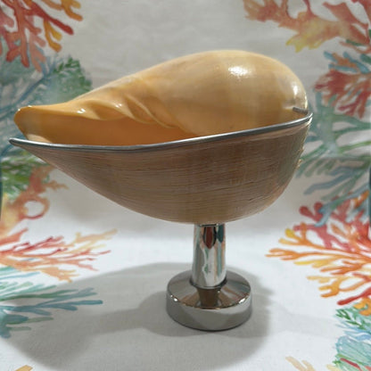 Melon Shell on Metal Stand