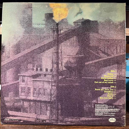 Pay It In Metal (VINYL) | Near Mint (NM or M-) Excellent+ (EX+)