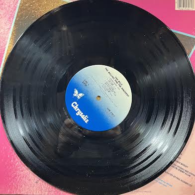 The Wild, The Willing And The Innocent (VINYL) | Near Mint (NM or M-) Excellent (EX)