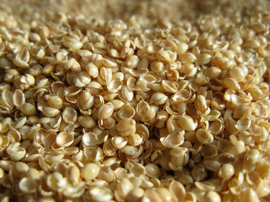 Millet Hulls fill - Midwest U.S. Grown Organic - for Pillows Cushions and Crafts
