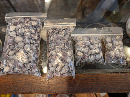 Bulk Mini Purple Clam Shells – 2oz & 4oz Bags for DIY Crafts & Wedding Decor