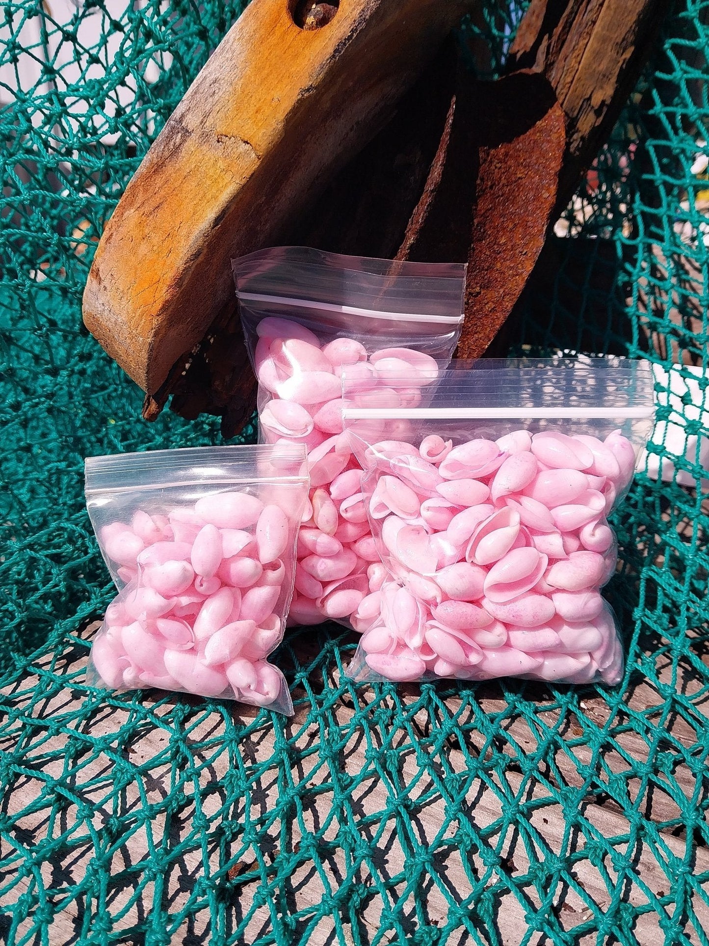 Bulk Pastel Dyed Bubble Shells – 3 oz Bag (80 Pieces) Craft & DIY Supplies