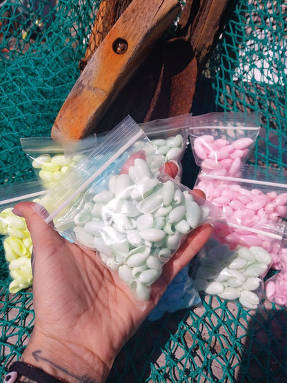 Bulk Pastel Dyed Bubble Shells – 3 oz Bag (80 Pieces) Craft & DIY Supplies