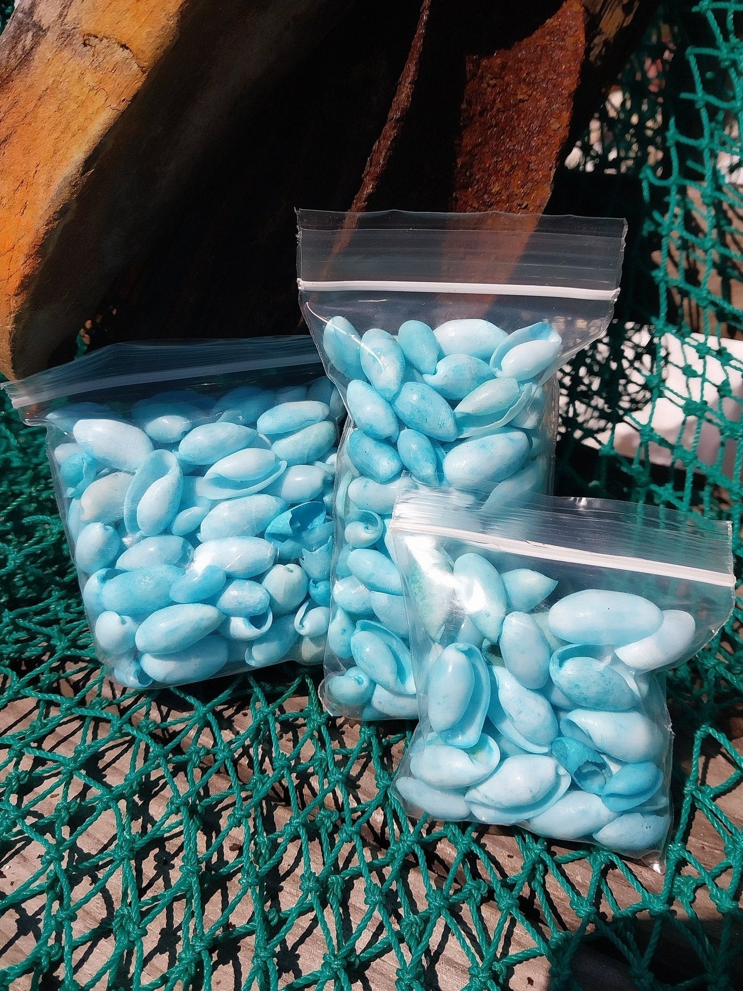 Bulk Pastel Dyed Bubble Shells – 3 oz Bag (80 Pieces) Craft & DIY Supplies