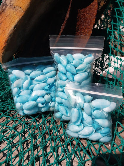 Bulk Pastel Dyed Bubble Shells – 3 oz Bag (80 Pieces) Craft & DIY Supplies