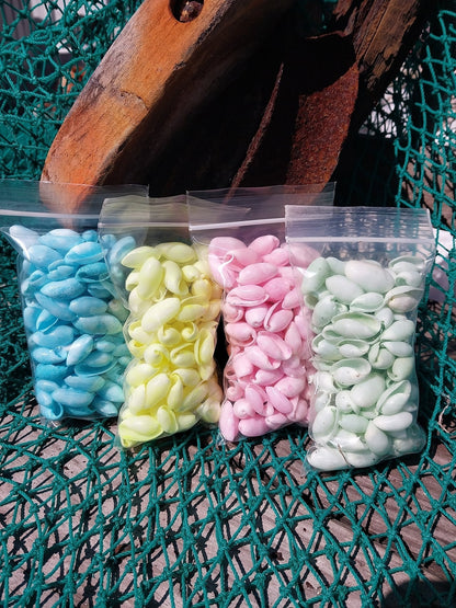 Bulk Pastel Dyed Bubble Shells – 3 oz Bag (80 Pieces) Craft & DIY Supplies