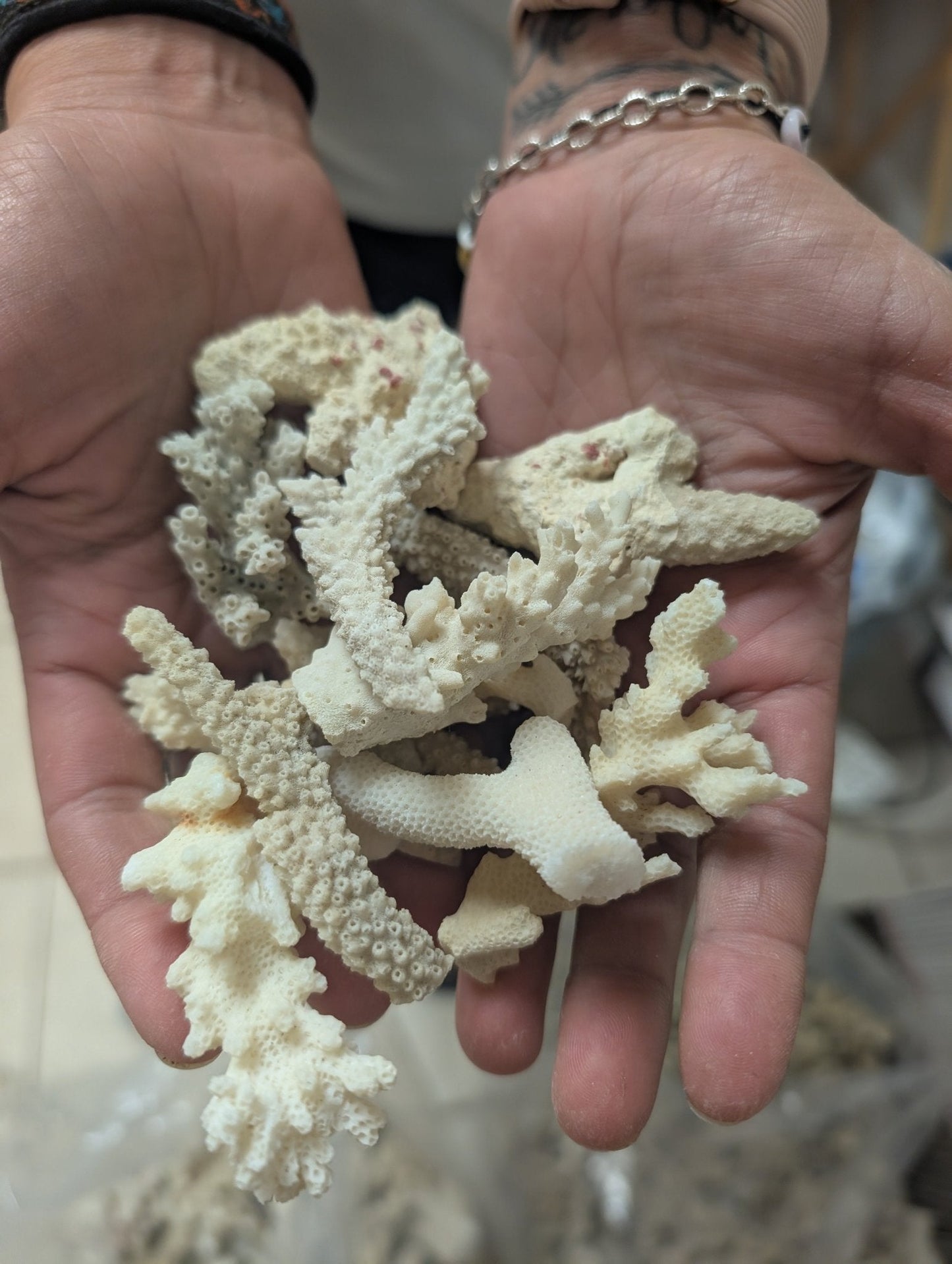 Mixed White Coral Pieces Crafting Assortment- Broken Scrap Lot