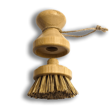 Modular Palm Pot Scrub Brush