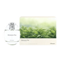 d'Annam Monsoon Tea