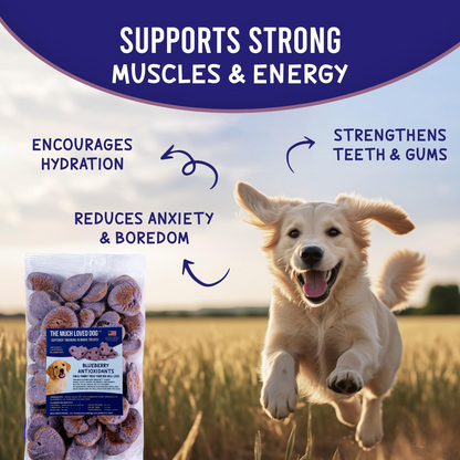 Much Loved Dog Blueberry Training Reward Treats - ECO Set (Filled Fresh Keeper +1 Refill)