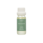 Muir Woods Oil Blend