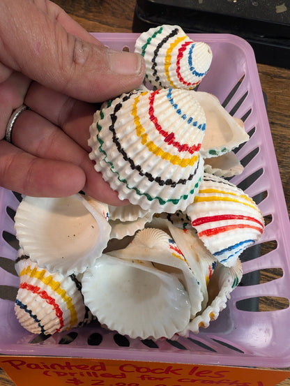 Multi colored painted cockle shells- drilled for crafts