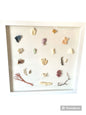 Multi Coral species shadow box