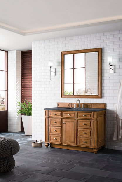 Bristol 48" Single Vanity Cabinet