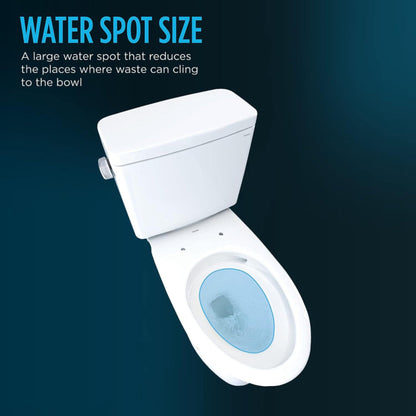 [MW7763084CSFG#01] TOTO Drake C5 Bidet Seat With 1.6 GPF UH Washlet Toilet (SAK75939)