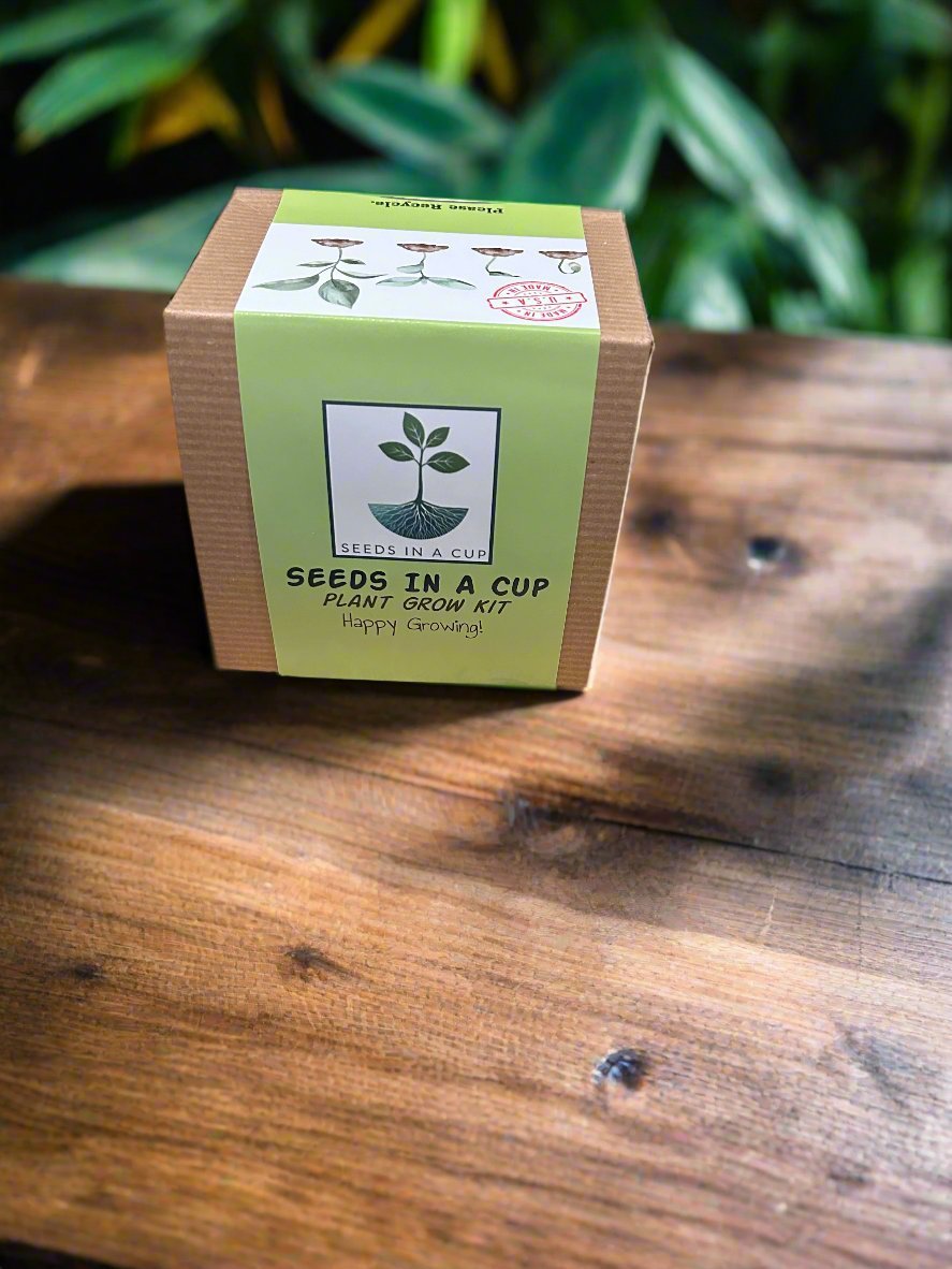 Pecan Tree | Seed Starter Grow Kit | Seeds In A Cup®