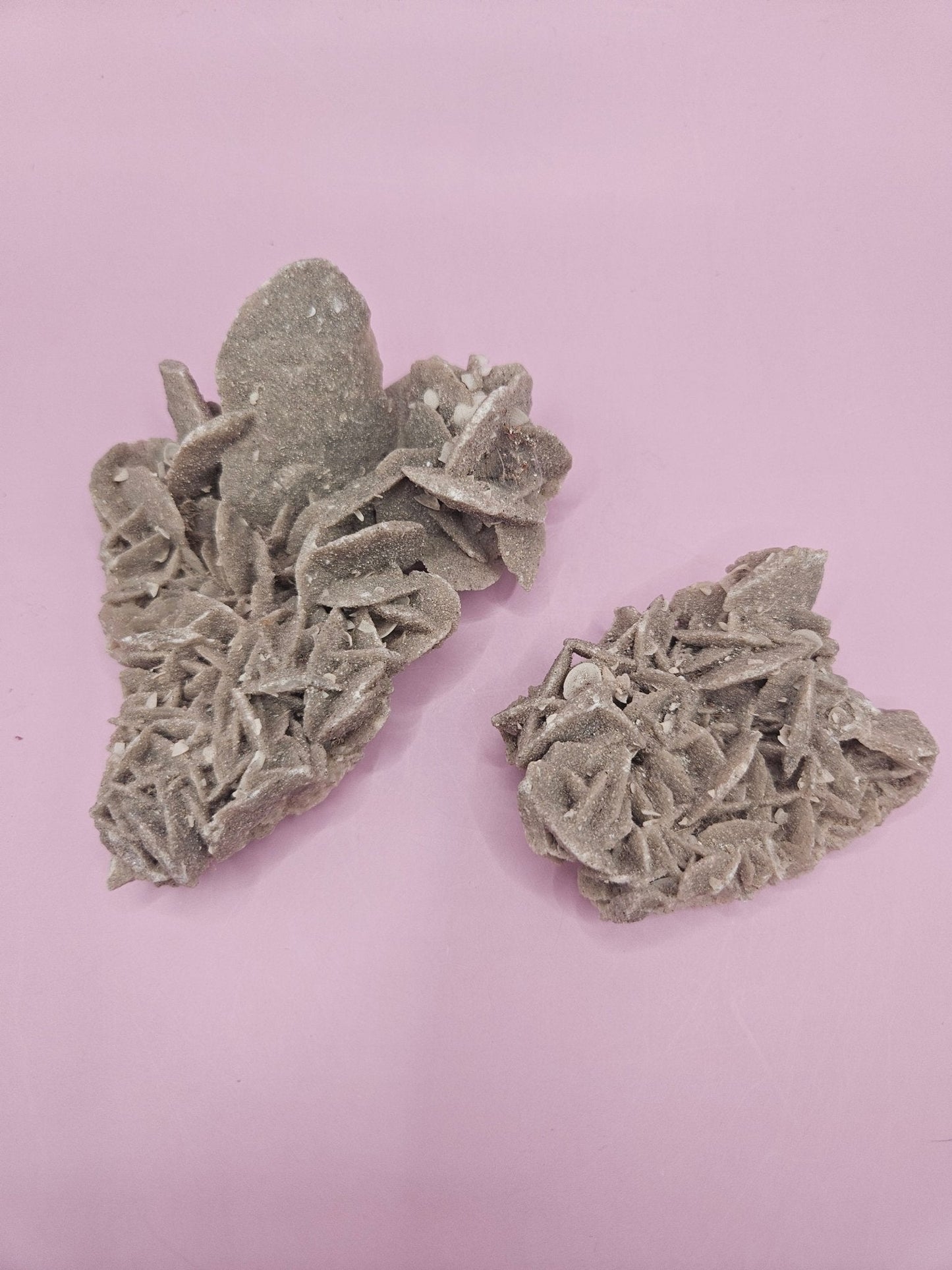 Natural Desert Rose Crystal Gypsum – Gulf Coast Lagoon Mineral Specimens in Small and Large Sizes