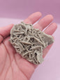Natural Desert Rose Crystal Gypsum – Gulf Coast Lagoon Mineral Specimens in Small and Large Sizes