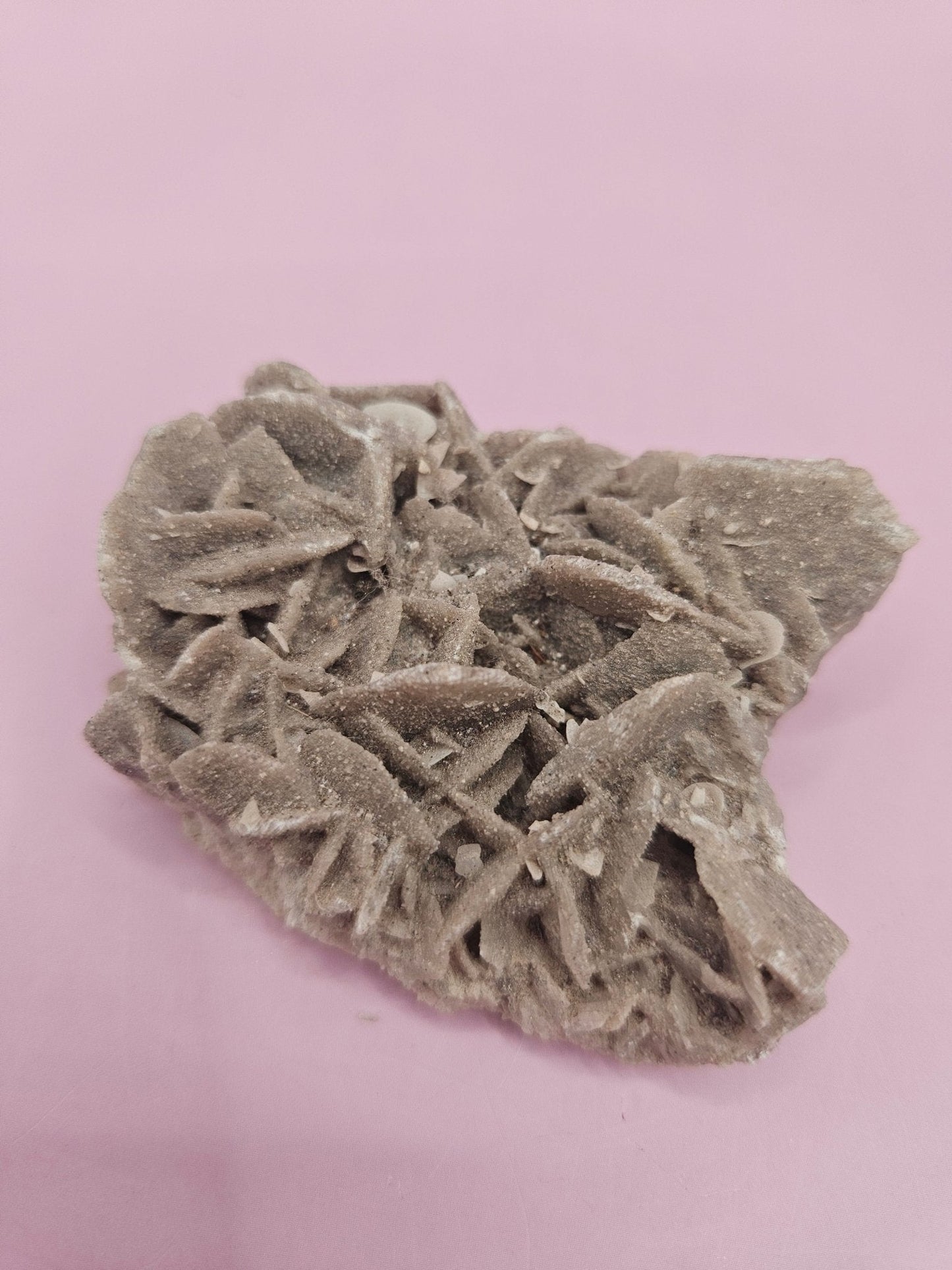 Natural Desert Rose Crystal Gypsum – Gulf Coast Lagoon Mineral Specimens in Small and Large Sizes
