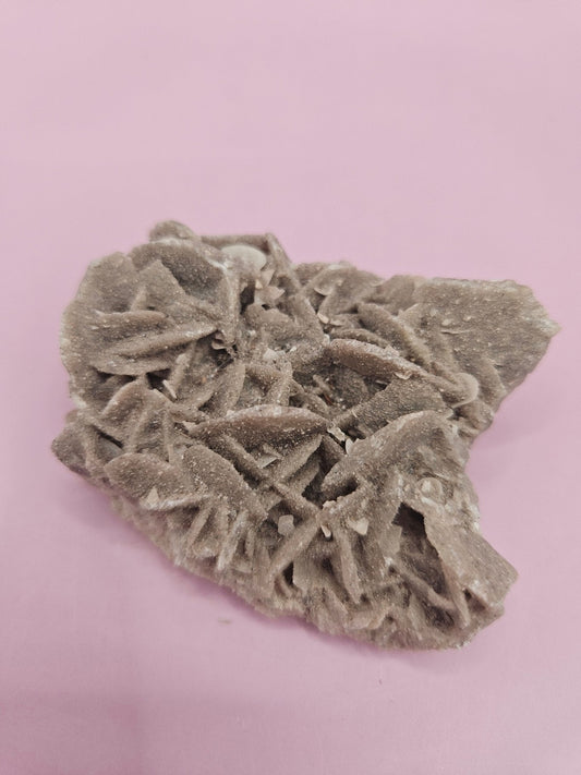 Natural Desert Rose Crystal Gypsum – Gulf Coast Lagoon Mineral Specimens in Small and Large Sizes