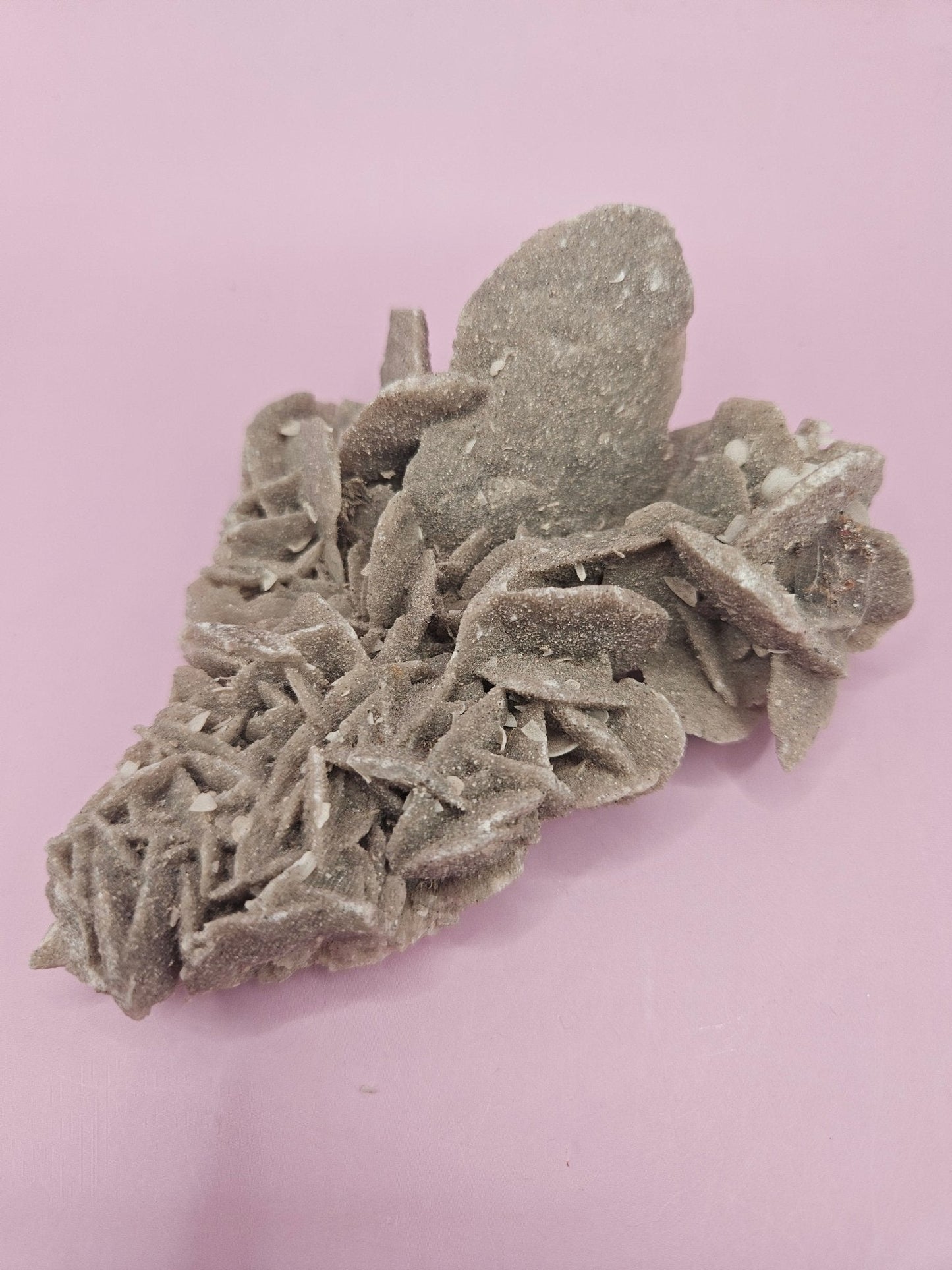 Natural Desert Rose Crystal Gypsum – Gulf Coast Lagoon Mineral Specimens in Small and Large Sizes