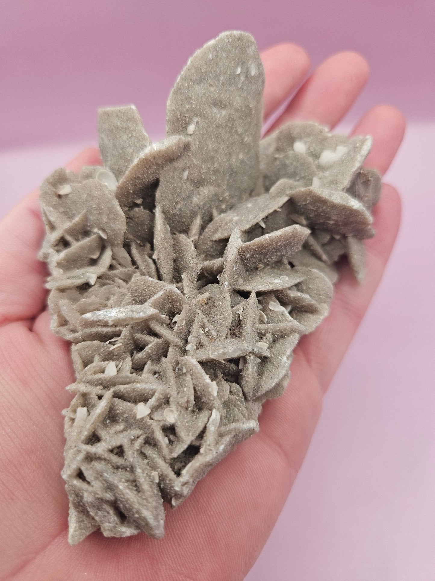Natural Desert Rose Crystal Gypsum – Gulf Coast Lagoon Mineral Specimens in Small and Large Sizes