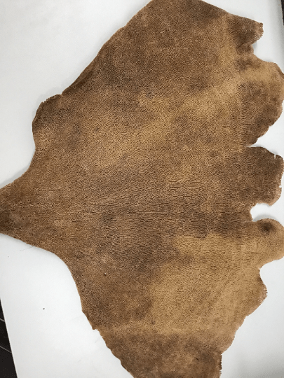 Natural Dried Brown Sponge Sea Fan Coral