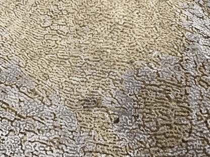 Natural Dried Brown Sponge Sea Fan Coral