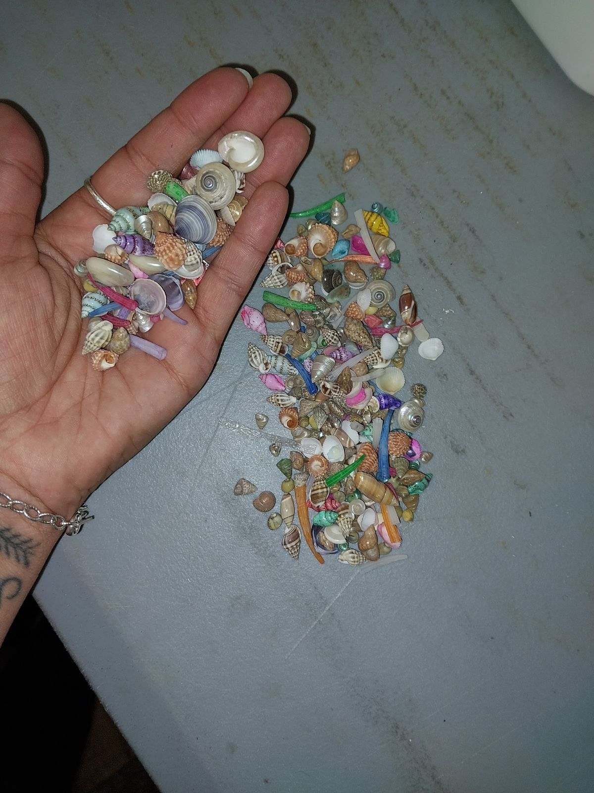 Natural & Dyed Shell Mixture