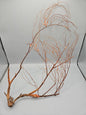 Natural Sea Fan Coral – 16"x8.5" Coastal Wall Art