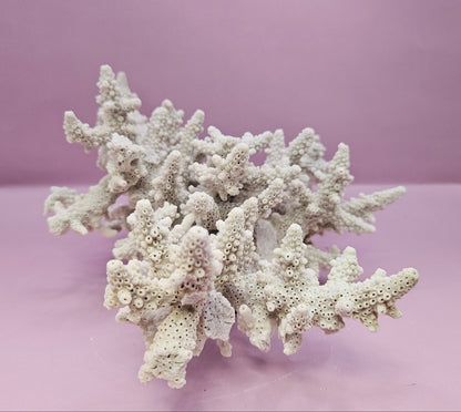 Natural Table Coral -9.75"x9.25" Coastal Home Décor Accent