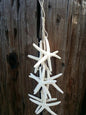 Natural White Finger Starfish Hanging Strand for Coastal Christmas Decorating/ Starfish on a String Wall Decor Hanger
