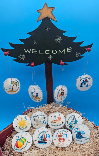 Christmas Ornament Set – Coastal & Traditional Sand Dollar “12 Days of Christmas” Handcrafted Holiday Decor