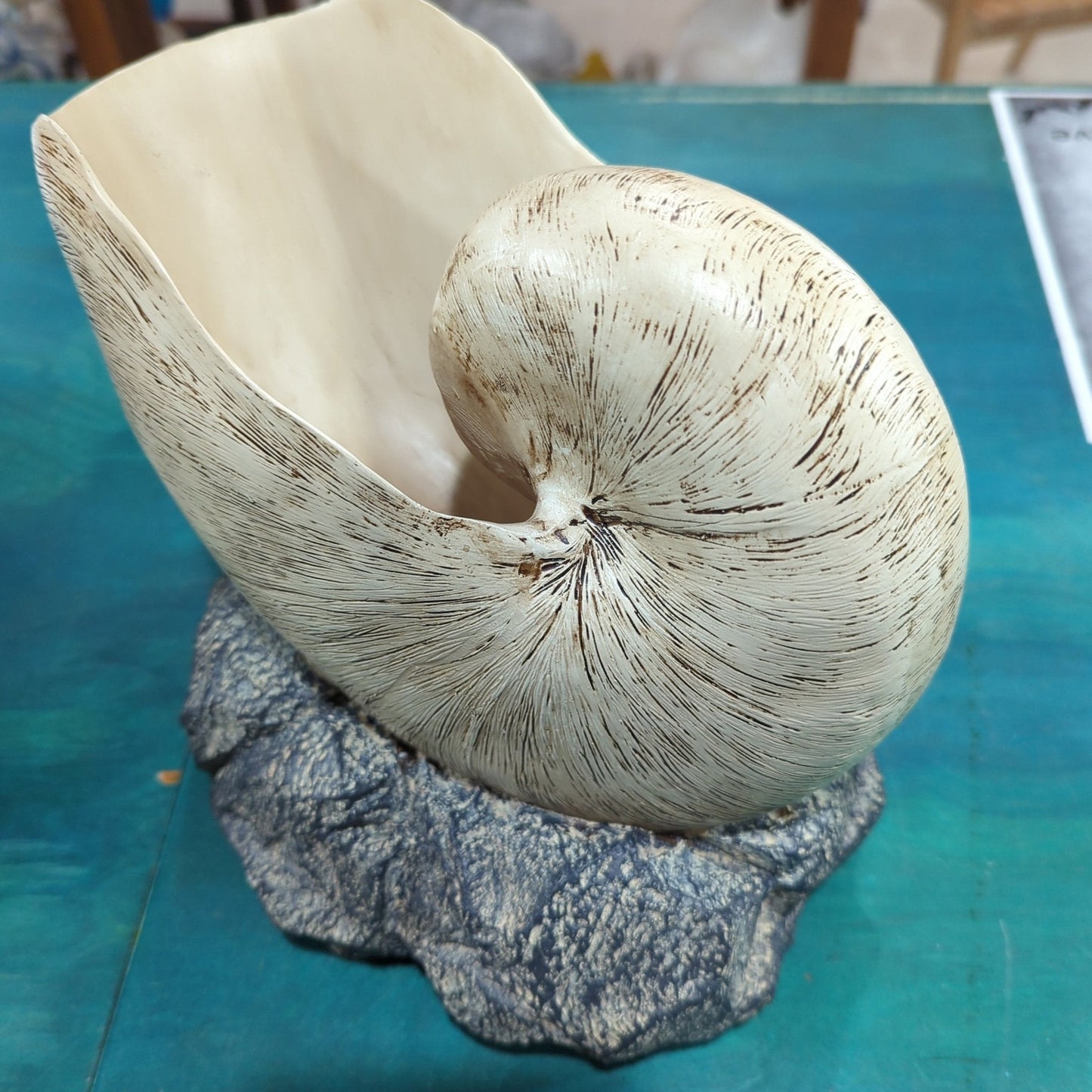 Nautilus Shell on rock base