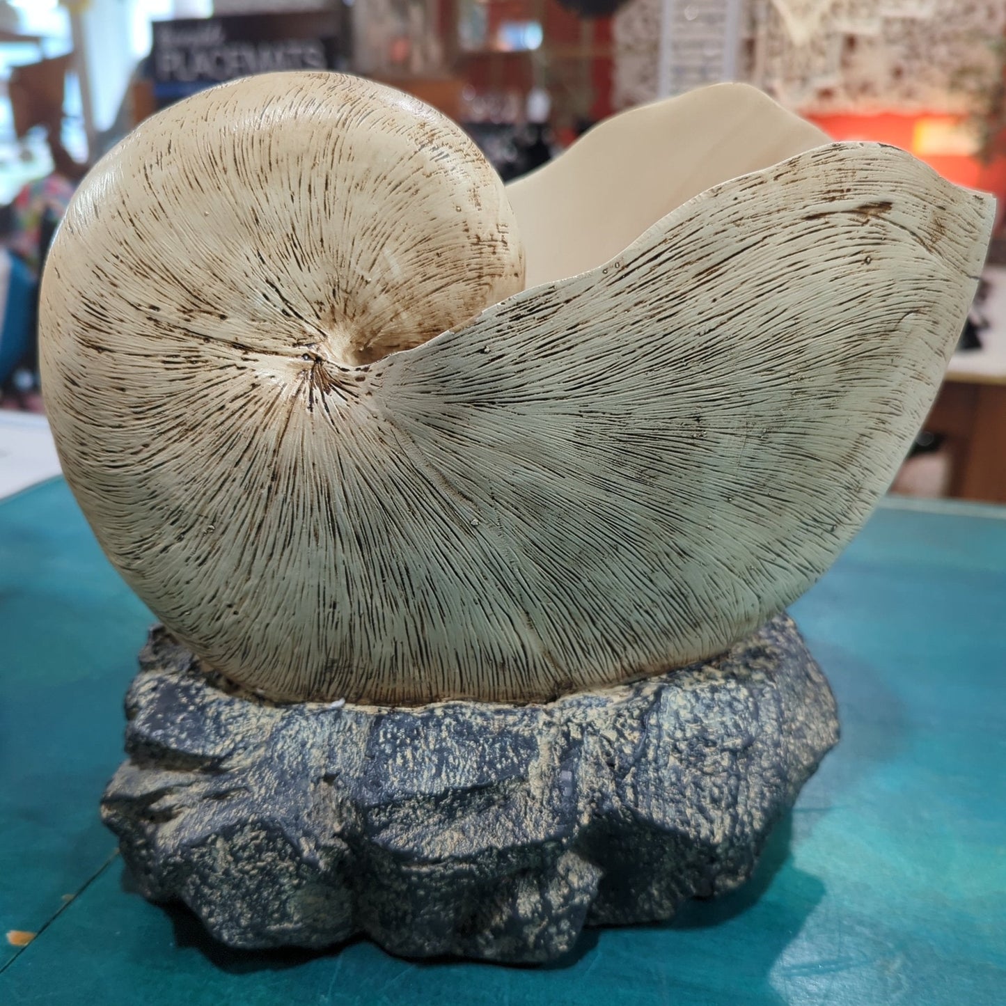 Nautilus Shell on rock base