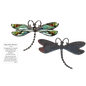 Dragonfly Inspriational Pocket Charm -
