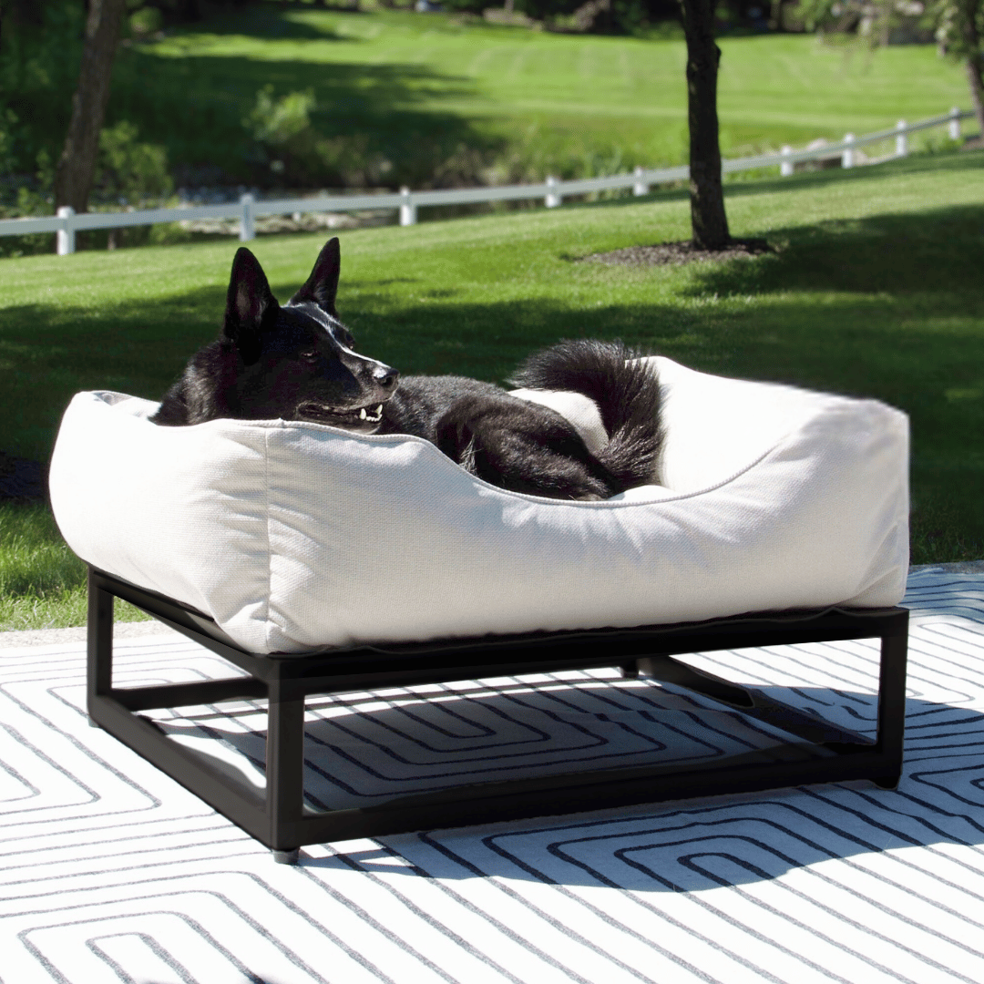 The Sammy Dog Bed