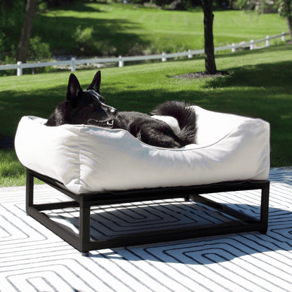 The Sammy Dog Bed