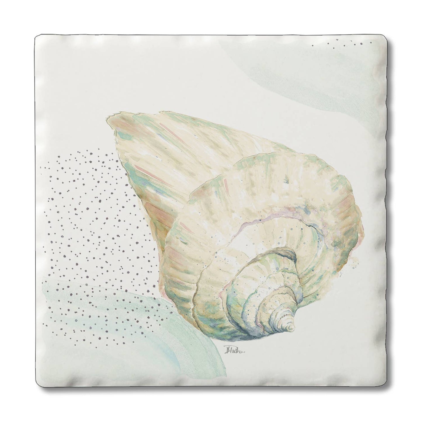 Ocean Treasures Single Coaster - 12 Assorted