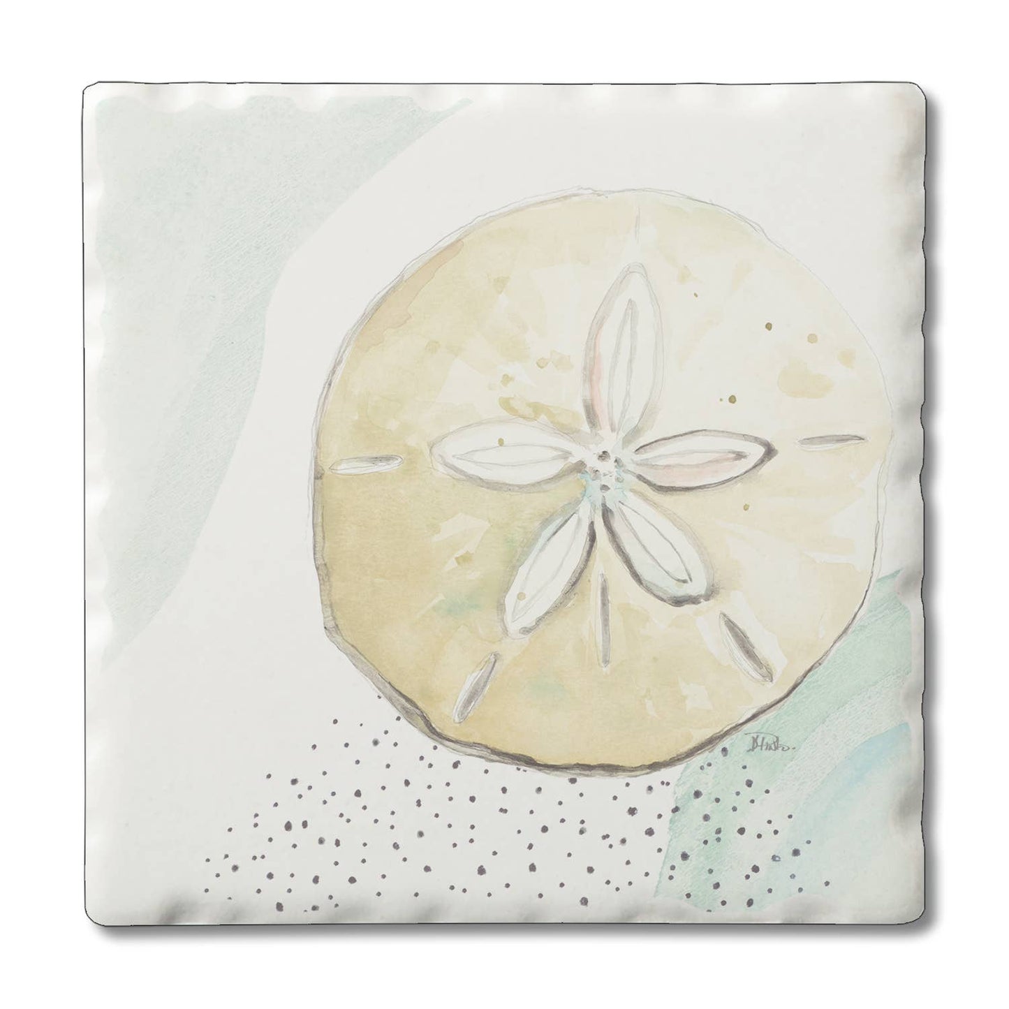 Ocean Treasures Single Coaster - 12 Assorted