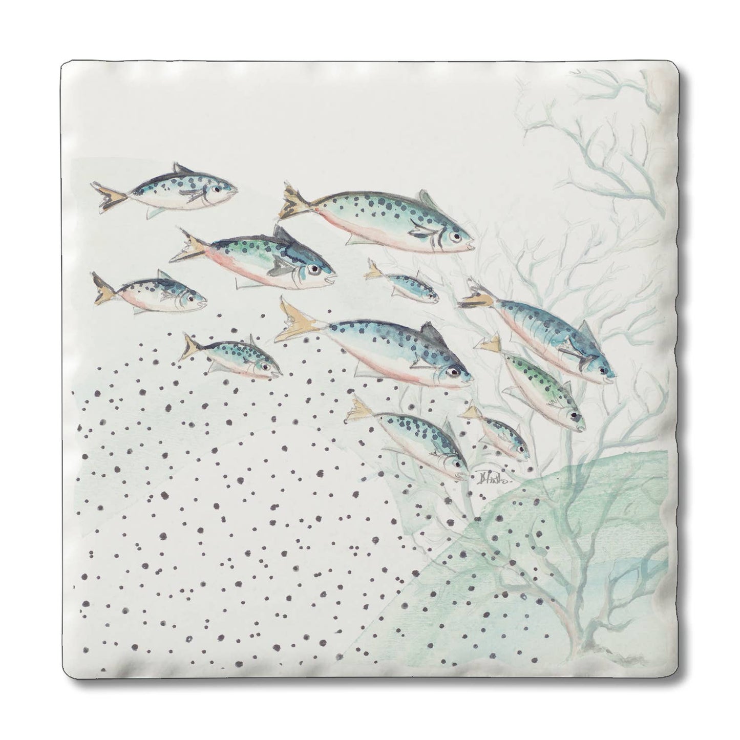 Ocean Treasures Single Coaster - 12 Assorted