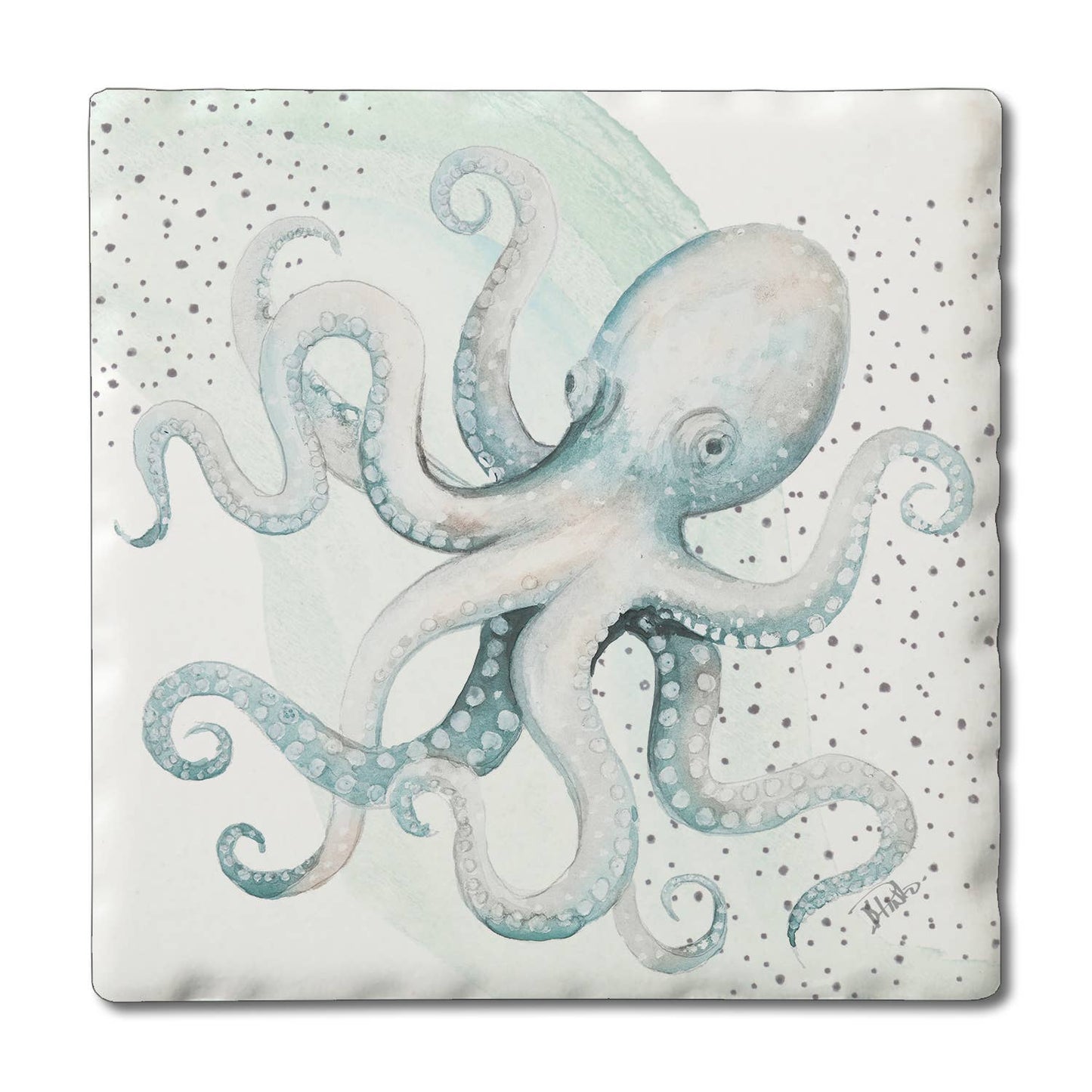 Ocean Treasures Single Coaster - 12 Assorted