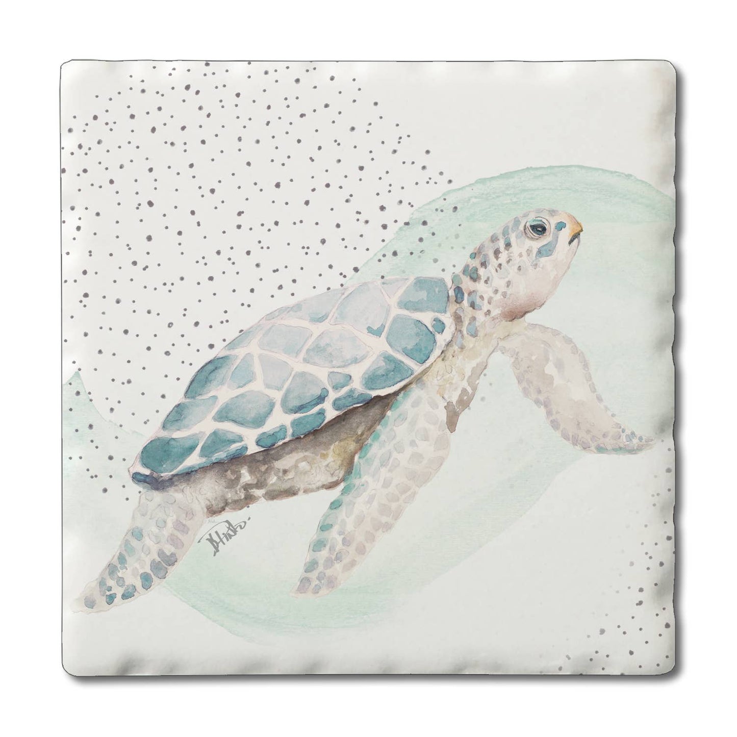 Ocean Treasures Single Coaster - 12 Assorted